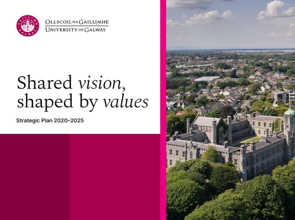 Share Vision, Shaped by Values is our University's strategic plan